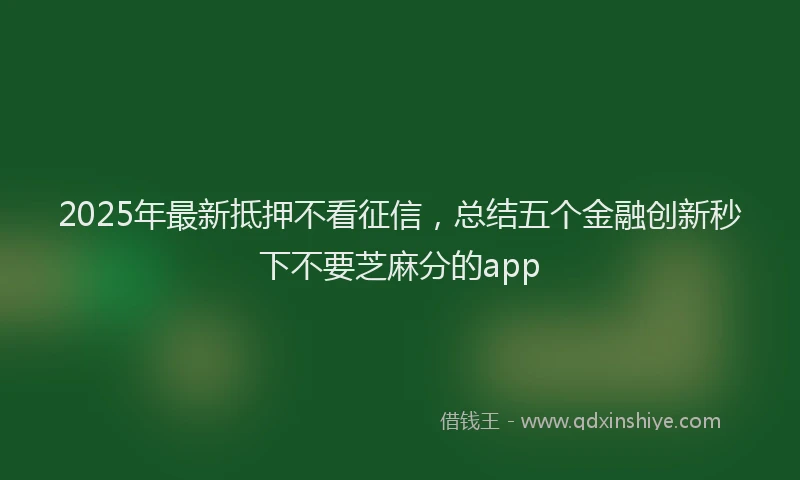 2025年最新抵押不看征信，总结五个金融创新秒下不要芝麻分的app