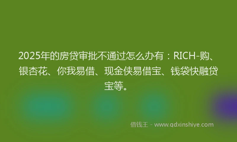 2025年的房贷审批不通过怎么办有：RICH-购、银杏花、你我易借、现金侠易借宝、钱袋快融贷宝等。
