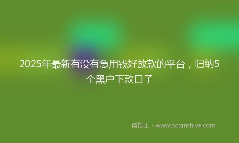 2025年最新有没有急用钱好放款的平台，归纳5个黑户下款口子