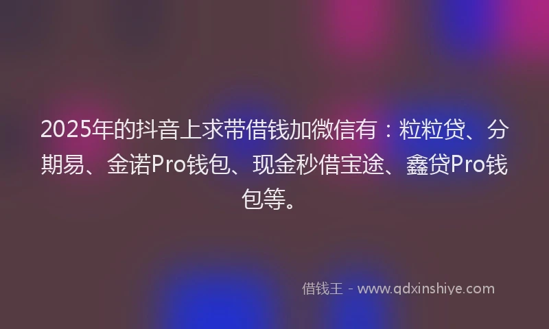 2025年的抖音上求带借钱加微信有：粒粒贷、分期易、金诺Pro钱包、现金秒借宝途、鑫贷Pro钱包等。
