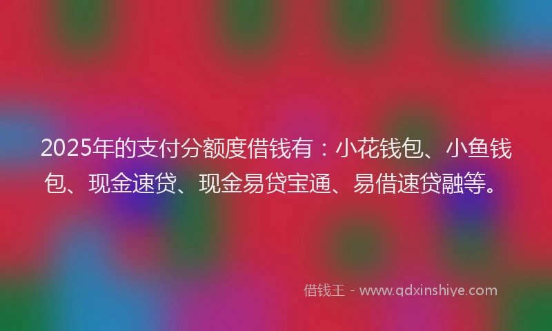 2025年的支付分额度借钱有：小花钱包、小鱼钱包、现金速贷、现金易贷宝通、易借速贷融等。