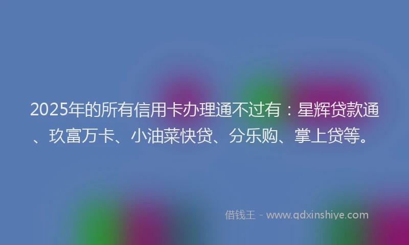 2025年的所有信用卡办理通不过有：星辉贷款通、玖富万卡、小油菜快贷、分乐购、掌上贷等。
