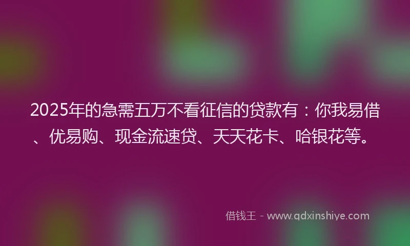 2025年的急需五万不看征信的贷款有：你我易借、优易购、现金流速贷、天天花卡、哈银花等。