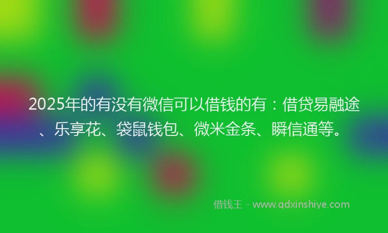 2025年的有没有微信可以借钱的有：借贷易融途、乐享花、袋鼠钱包、微米金条、瞬信通等。