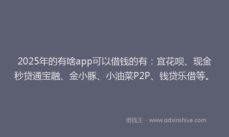 2025年的有啥app可以借钱的有：宜花呗、现金秒贷通宝融、金小豚、小油菜P2P、钱贷乐借等。