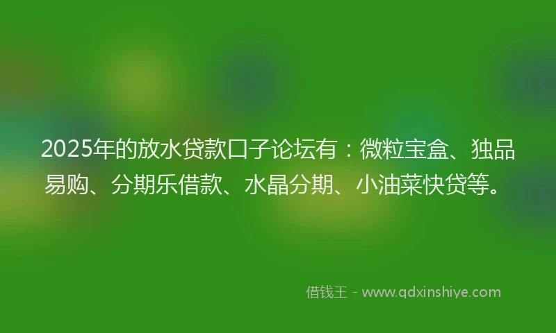 2025年的放水贷款口子论坛有：微粒宝盒、独品易购、分期乐借款、水晶分期、小油菜快贷等。