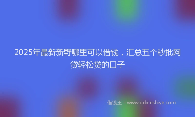 2025年最新新野哪里可以借钱，汇总五个秒批网贷轻松贷的口子