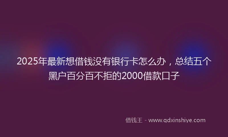 2025年最新想借钱没有银行卡怎么办，总结五个黑户百分百不拒的2000借款口子