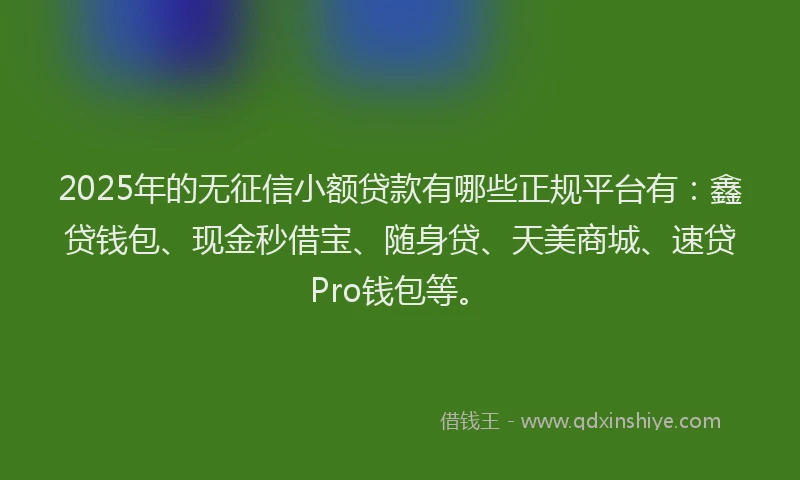 2025年的无征信小额贷款有哪些正规平台有：鑫贷钱包、现金秒借宝、随身贷、天美商城、速贷Pro钱包等。