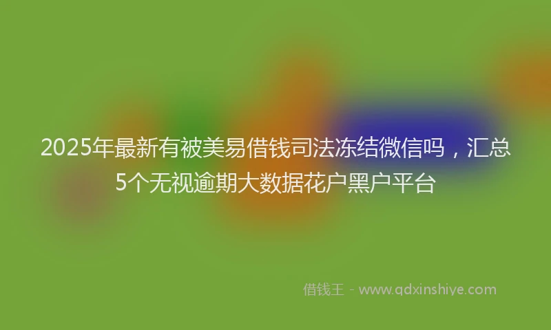 2025年最新有被美易借钱司法冻结微信吗，汇总5个无视逾期大数据花户黑户平台