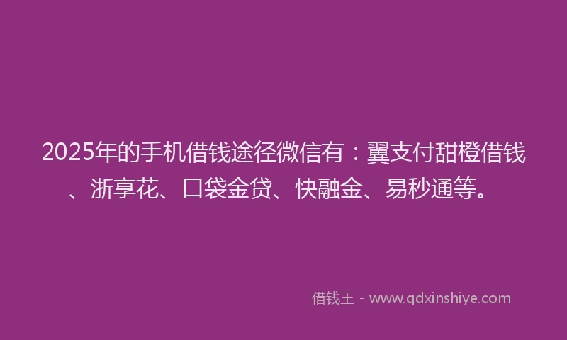 2025年的手机借钱途径微信有：翼支付甜橙借钱、浙享花、口袋金贷、快融金、易秒通等。