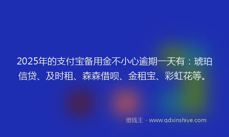 2025年的支付宝备用金不小心逾期一天有：琥珀信贷、及时租、森森借呗、金租宝、彩虹花等。