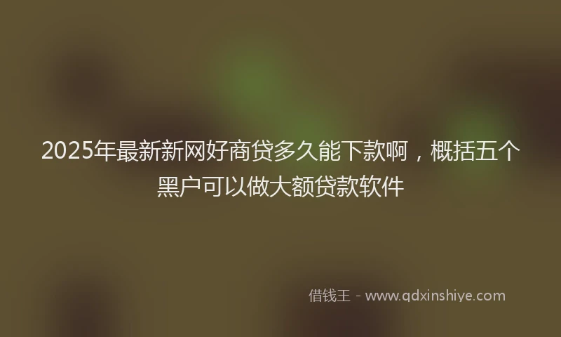 2025年最新新网好商贷多久能下款啊，概括五个黑户可以做大额贷款软件
