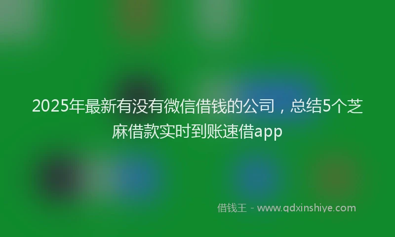 2025年最新有没有微信借钱的公司，总结5个芝麻借款实时到账速借app