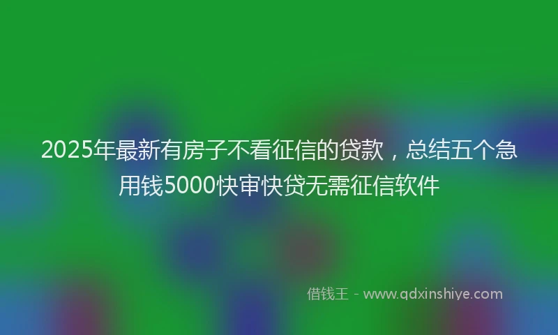 2025年最新有房子不看征信的贷款，总结五个急用钱5000快审快贷无需征信软件