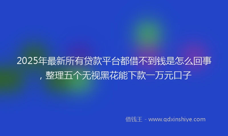 2025年最新所有贷款平台都借不到钱是怎么回事，整理五个无视黑花能下款一万元口子