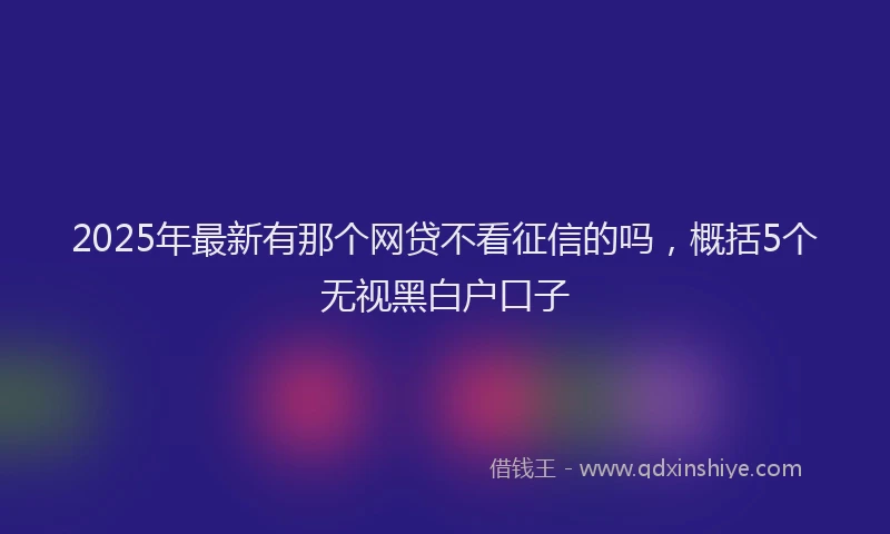 2025年最新有那个网贷不看征信的吗，概括5个无视黑白户口子