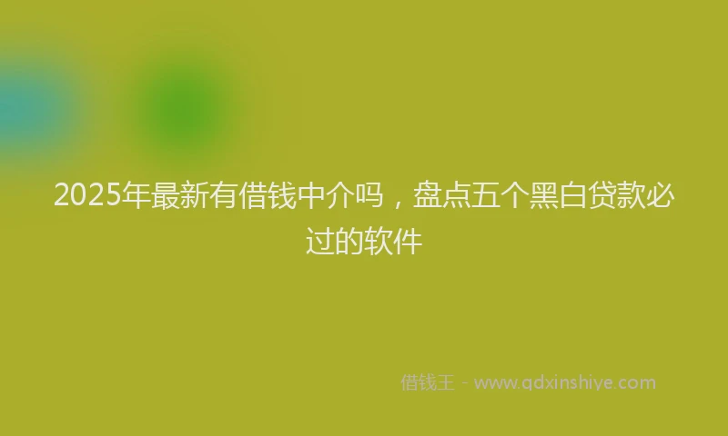 2025年最新有借钱中介吗，盘点五个黑白贷款必过的软件