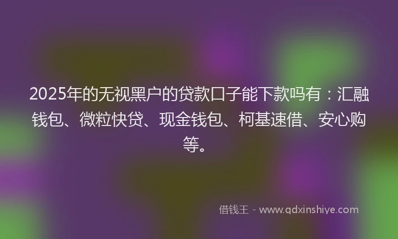 2025年的无视黑户的贷款口子能下款吗有：汇融钱包、微粒快贷、现金钱包、柯基速借、安心购等。