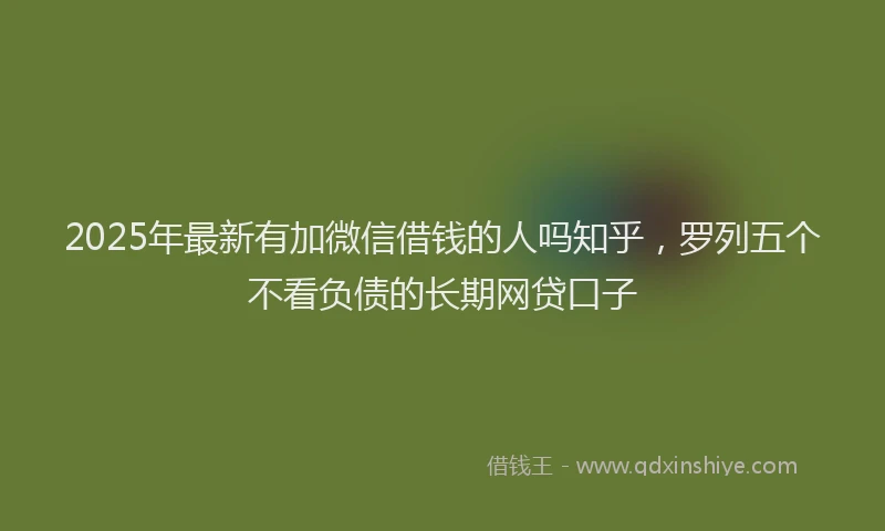 2025年最新有加微信借钱的人吗知乎，罗列五个不看负债的长期网贷口子