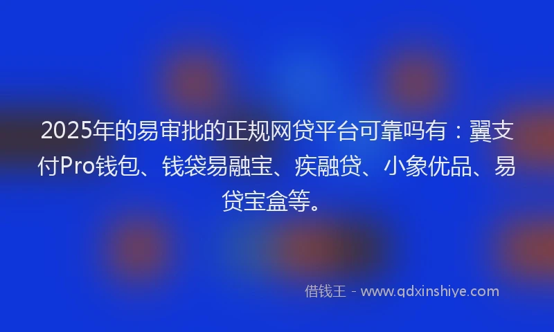 2025年的易审批的正规网贷平台可靠吗有：翼支付Pro钱包、钱袋易融宝、疾融贷、小象优品、易贷宝盒等。