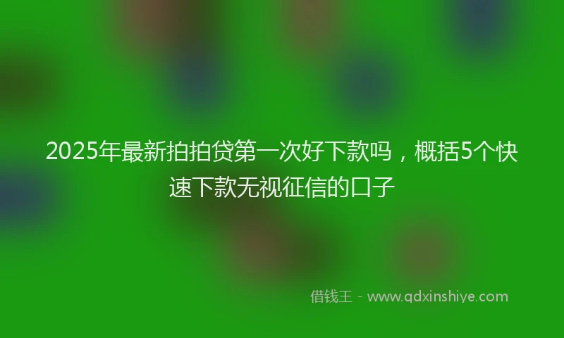2025年最新拍拍贷第一次好下款吗，概括5个快速下款无视征信的口子