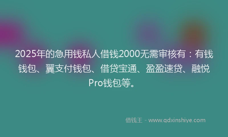 2025年的急用钱私人借钱2000无需审核有：有钱钱包、翼支付钱包、借贷宝通、盈盈速贷、融悦Pro钱包等。