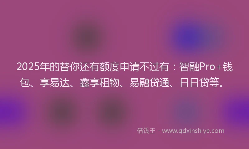 2025年的替你还有额度申请不过有：智融Pro+钱包、享易达、鑫享租物、易融贷通、日日贷等。