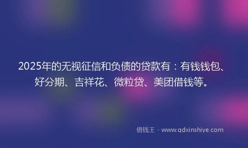 2025年的无视征信和负债的贷款有：有钱钱包、好分期、吉祥花、微粒贷、美团借钱等。