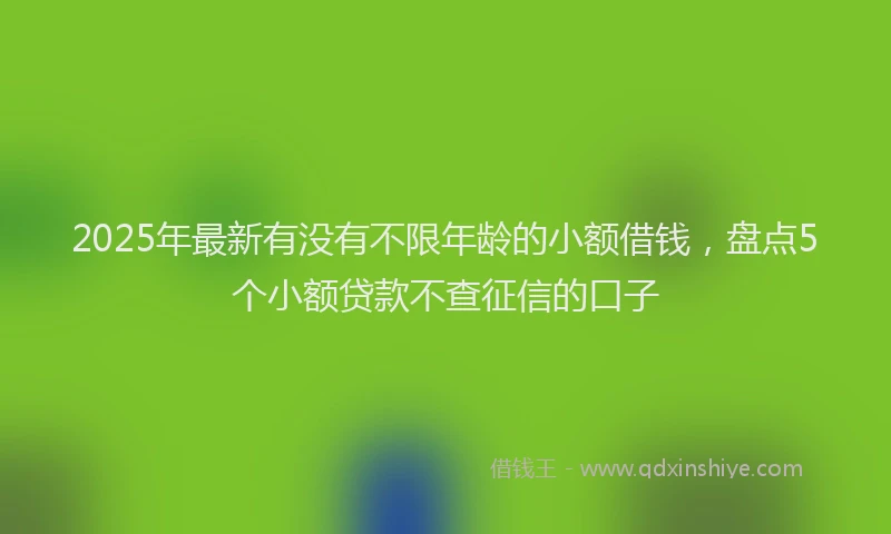 2025年最新有没有不限年龄的小额借钱，盘点5个小额贷款不查征信的口子