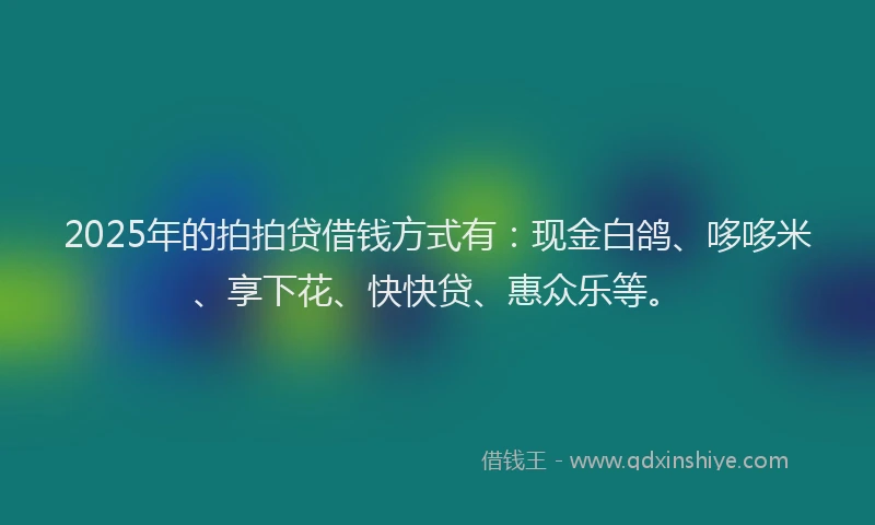 2025年的拍拍贷借钱方式有：现金白鸽、哆哆米、享下花、快快贷、惠众乐等。