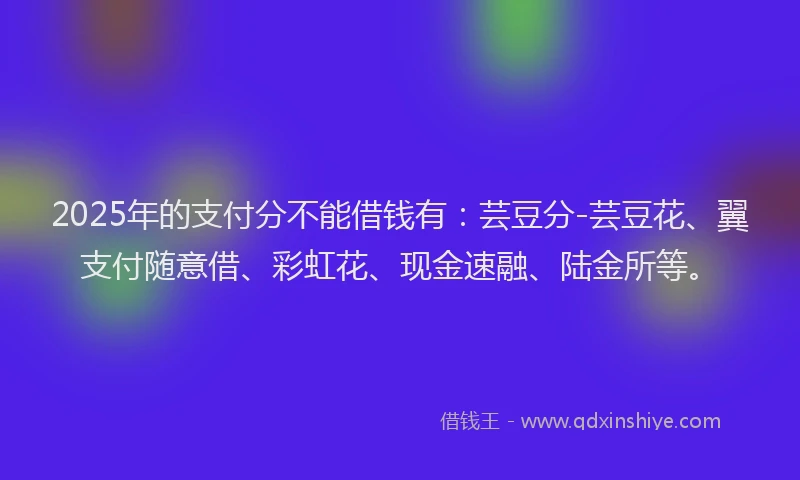 2025年的支付分不能借钱有：芸豆分-芸豆花、翼支付随意借、彩虹花、现金速融、陆金所等。
