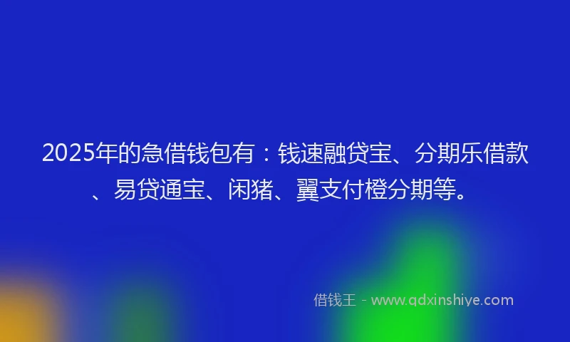 2025年的急借钱包有：钱速融贷宝、分期乐借款、易贷通宝、闲猪、翼支付橙分期等。