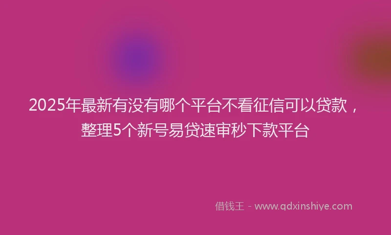 2025年最新有没有哪个平台不看征信可以贷款，整理5个新号易贷速审秒下款平台