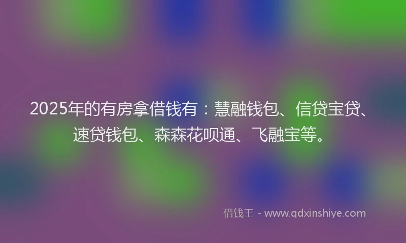 2025年的有房拿借钱有：慧融钱包、信贷宝贷、速贷钱包、森森花呗通、飞融宝等。
