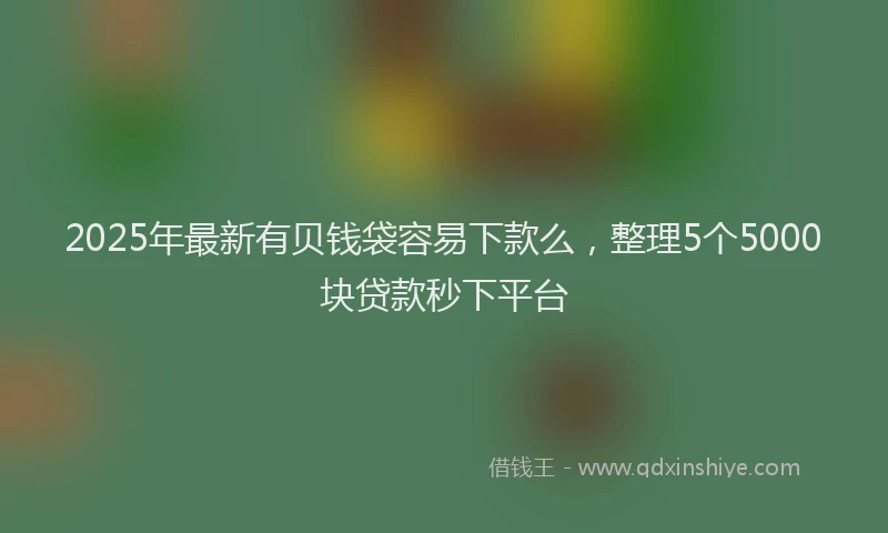 2025年最新有贝钱袋容易下款么，整理5个5000块贷款秒下平台