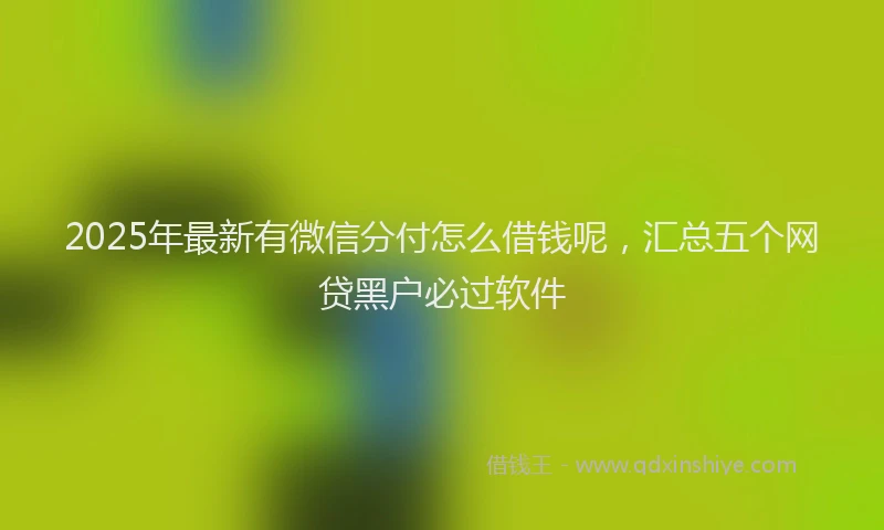 2025年最新有微信分付怎么借钱呢，汇总五个网贷黑户必过软件
