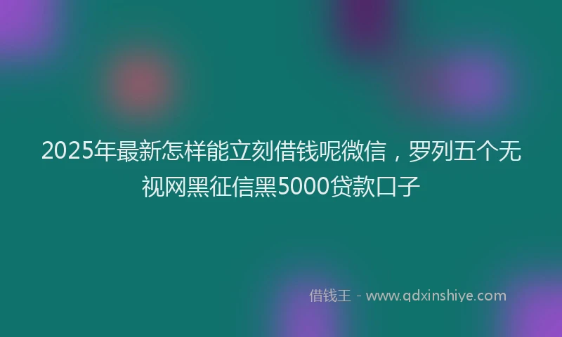 2025年最新怎样能立刻借钱呢微信，罗列五个无视网黑征信黑5000贷款口子