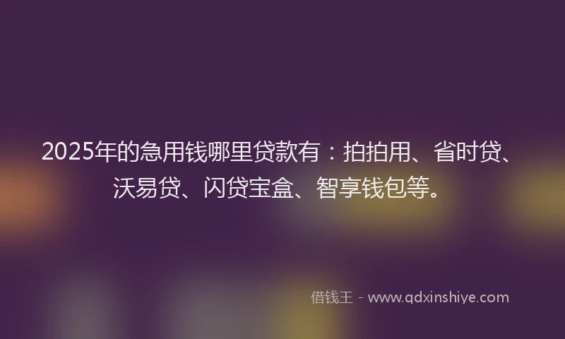 2025年的急用钱哪里贷款有：拍拍用、省时贷、沃易贷、闪贷宝盒、智享钱包等。