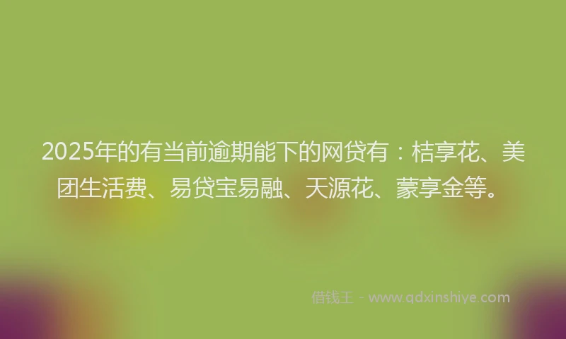 2025年的有当前逾期能下的网贷有：桔享花、美团生活费、易贷宝易融、天源花、蒙享金等。