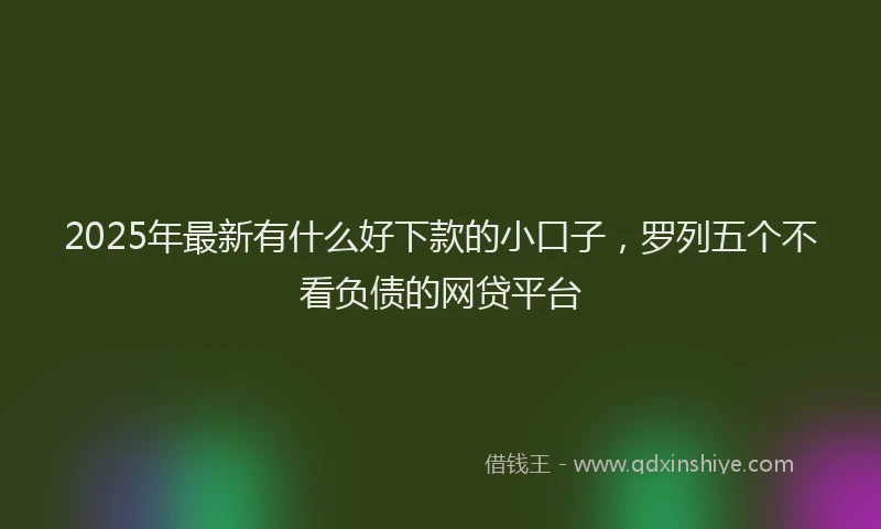 2025年最新有什么好下款的小口子，罗列五个不看负债的网贷平台