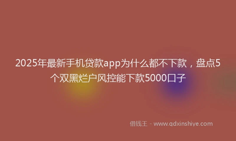 2025年最新手机贷款app为什么都不下款，盘点5个双黑烂户风控能下款5000口子