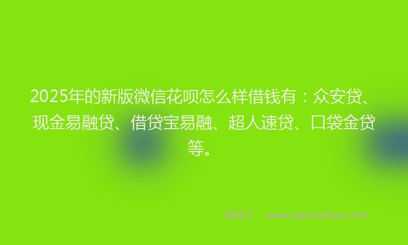 2025年的新版微信花呗怎么样借钱有：众安贷、现金易融贷、借贷宝易融、超人速贷、口袋金贷等。