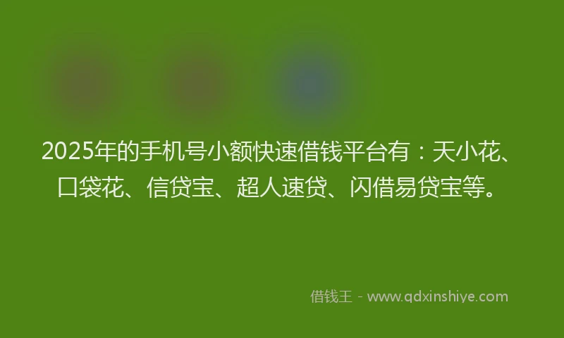 2025年的手机号小额快速借钱平台有：天小花、口袋花、信贷宝、超人速贷、闪借易贷宝等。