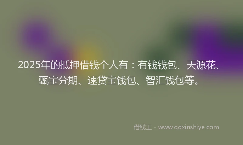 2025年的抵押借钱个人有：有钱钱包、天源花、甄宝分期、速贷宝钱包、智汇钱包等。