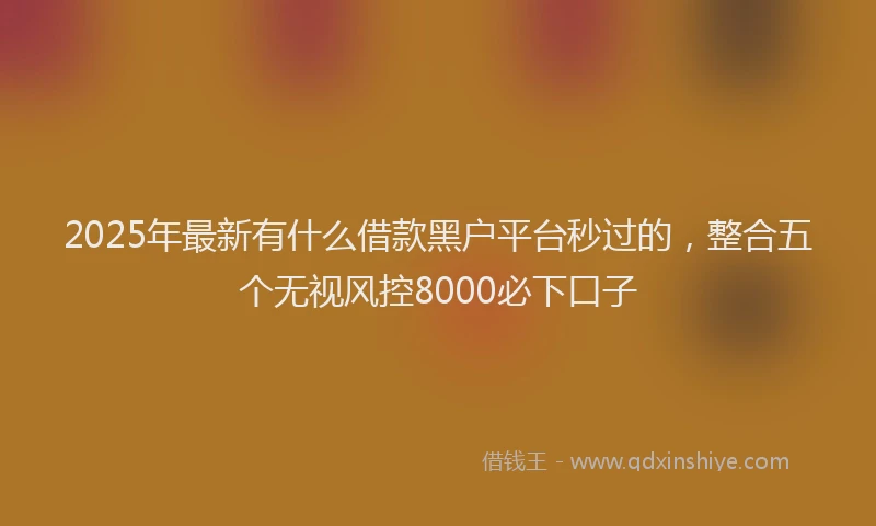 2025年最新有什么借款黑户平台秒过的，整合五个无视风控8000必下口子