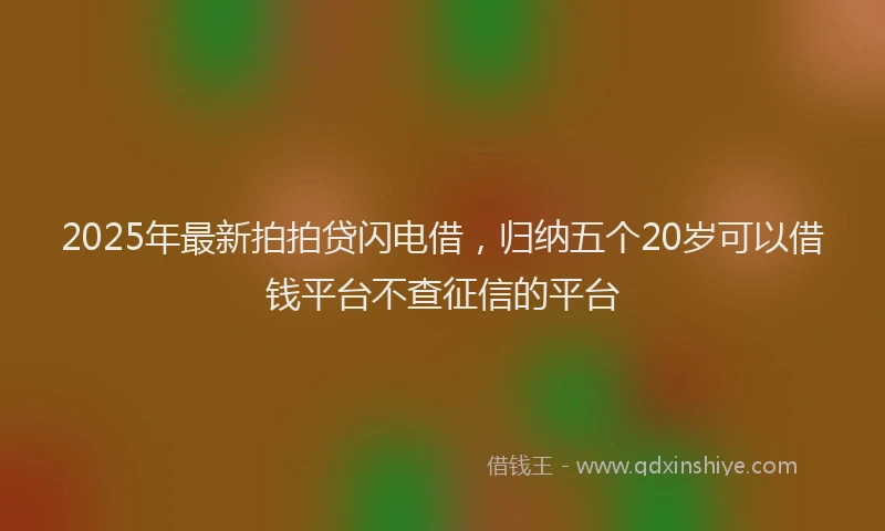 2025年最新拍拍贷闪电借，归纳五个20岁可以借钱平台不查征信的平台