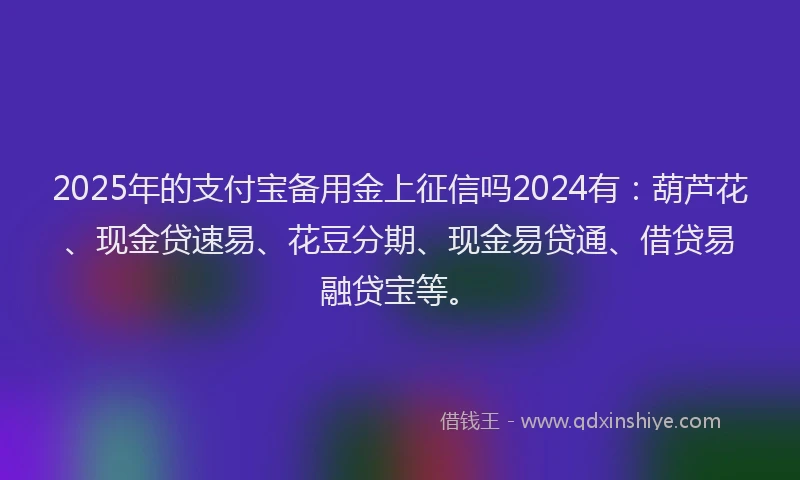 2025年的支付宝备用金上征信吗2024有：葫芦花、现金贷速易、花豆分期、现金易贷通、借贷易融贷宝等。