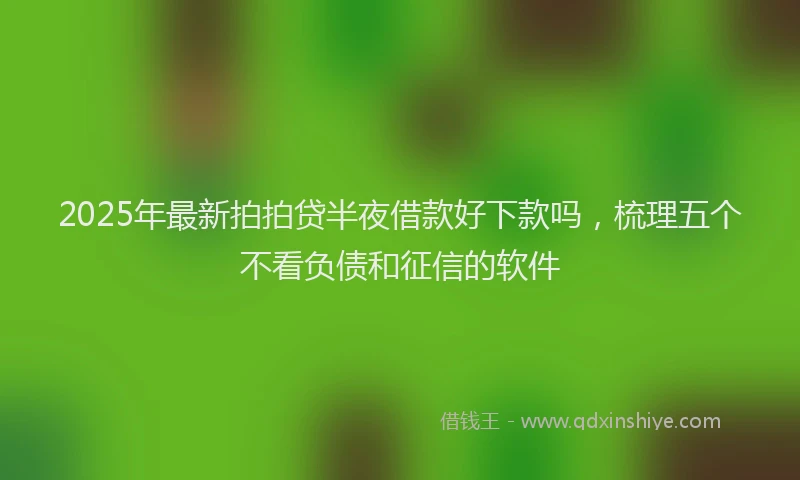 2025年最新拍拍贷半夜借款好下款吗，梳理五个不看负债和征信的软件
