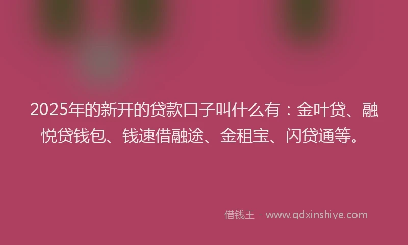 2025年的新开的贷款口子叫什么有：金叶贷、融悦贷钱包、钱速借融途、金租宝、闪贷通等。